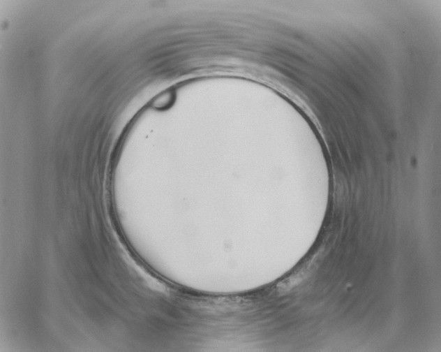 X0000062841533200602031549