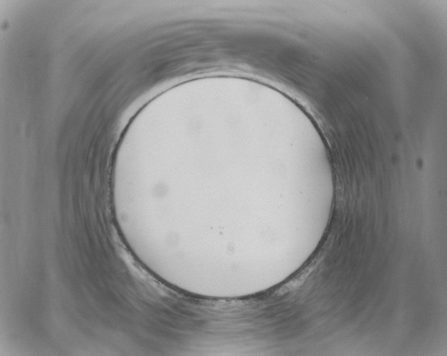 X0000062841534200602031549