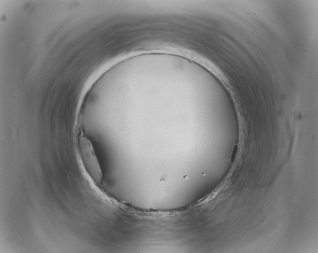 X0000062841536200602031549