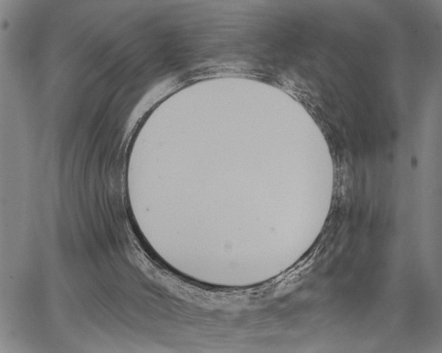 X0000062840004200602101548