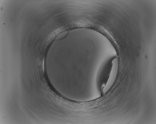 X0000062840019200602101548