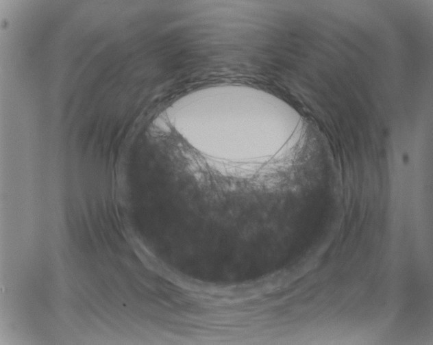 X0000062840038200602101547