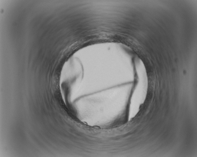 X0000062840043200602101547