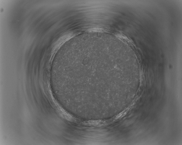 X0000062840049200602101547