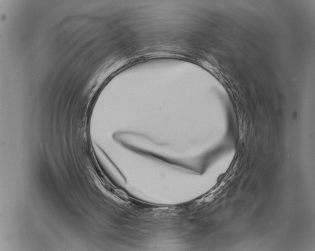 X0000062840050200602101547