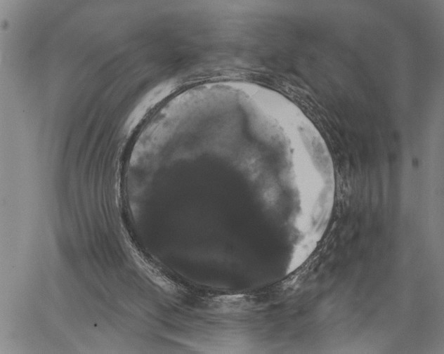 X0000062840054200602101547