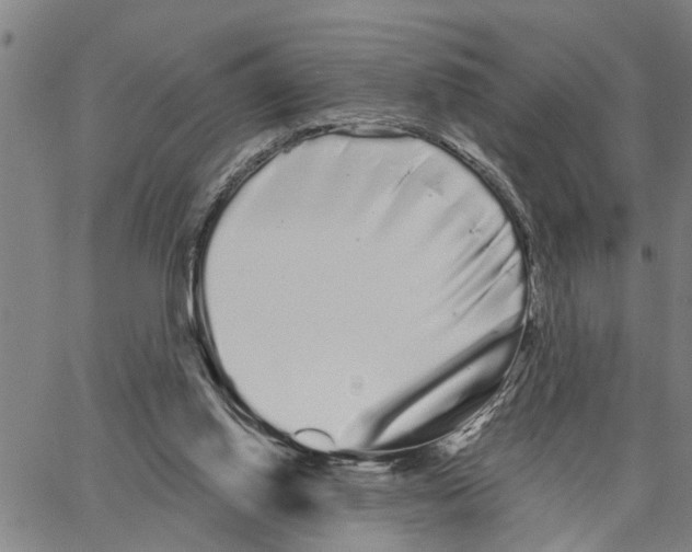 X0000062840062200602101547
