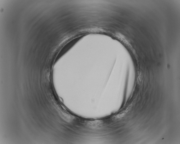 X0000062840063200602101547