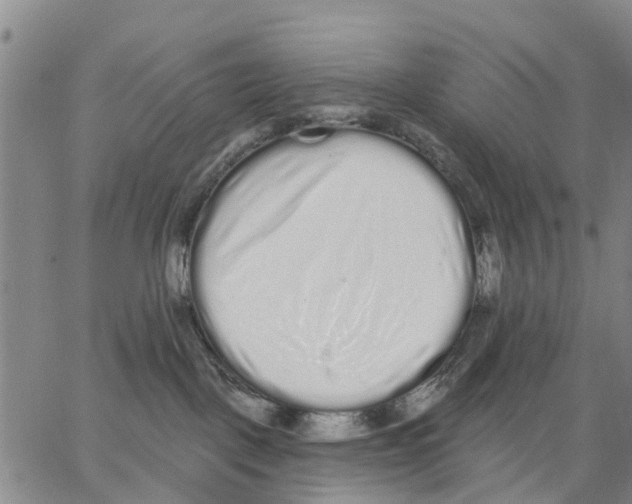 X0000062840093200602101547
