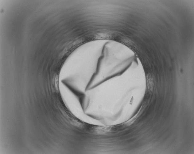 X0000062840094200602101547