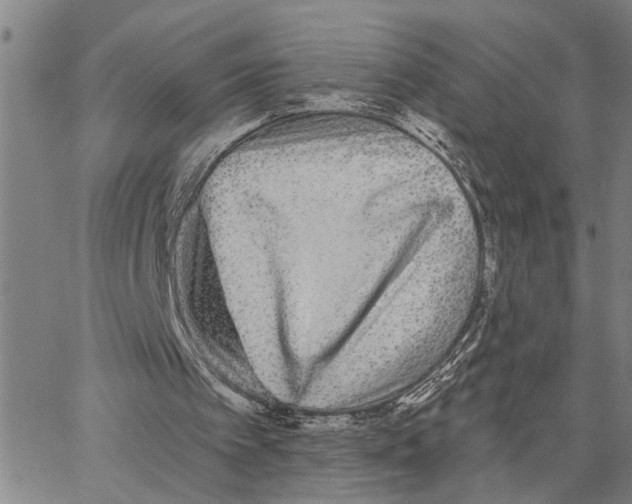 X0000062840097200602101547