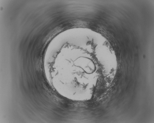 X0000062840146200602101545