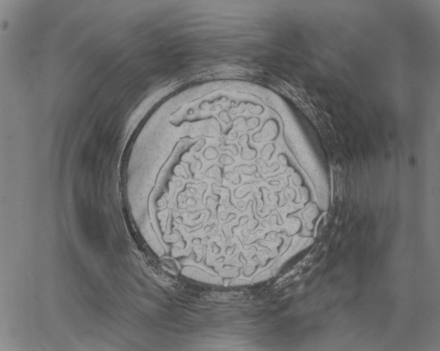 X0000062840147200602101545