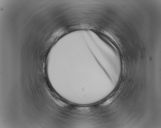 X0000062840157200602101545
