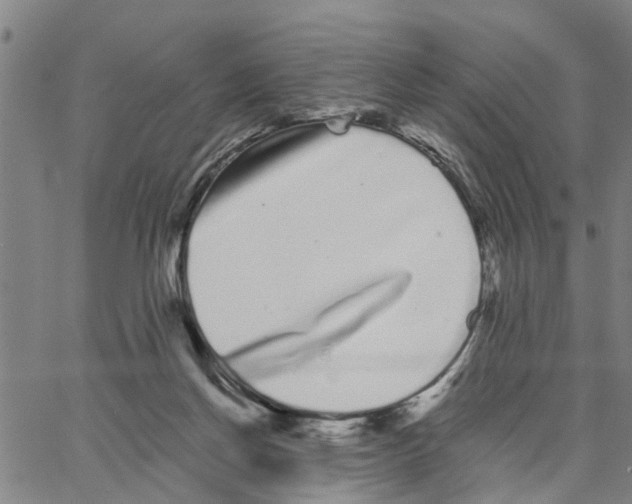 X0000062840166200602101545