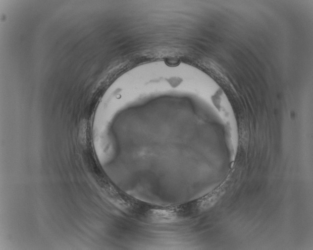 X0000062840167200602101545