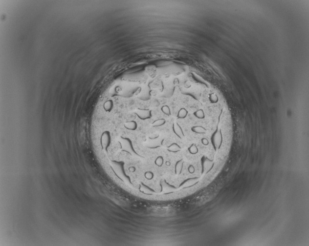 X0000062840169200602101545
