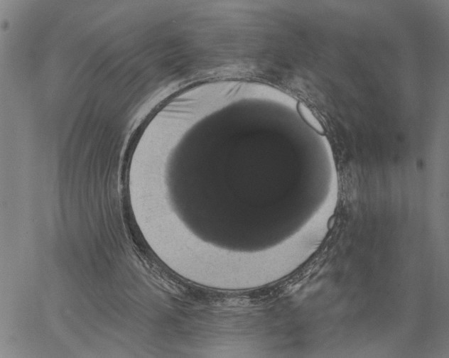 X0000062840196200602101545