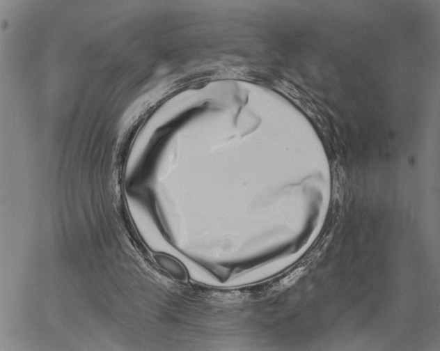 X0000062840245200602101544