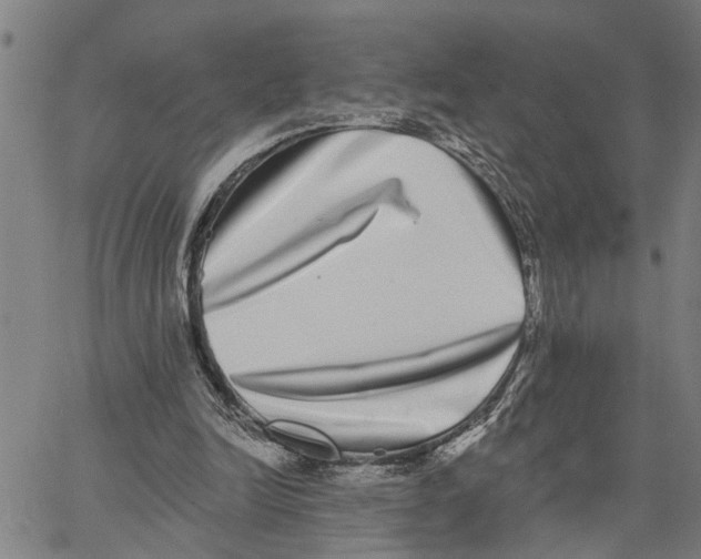 X0000062840246200602101544