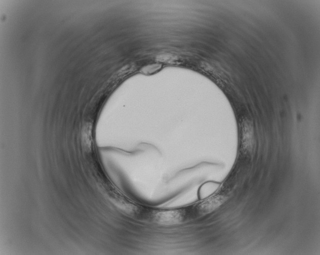 X0000062840275200602101544
