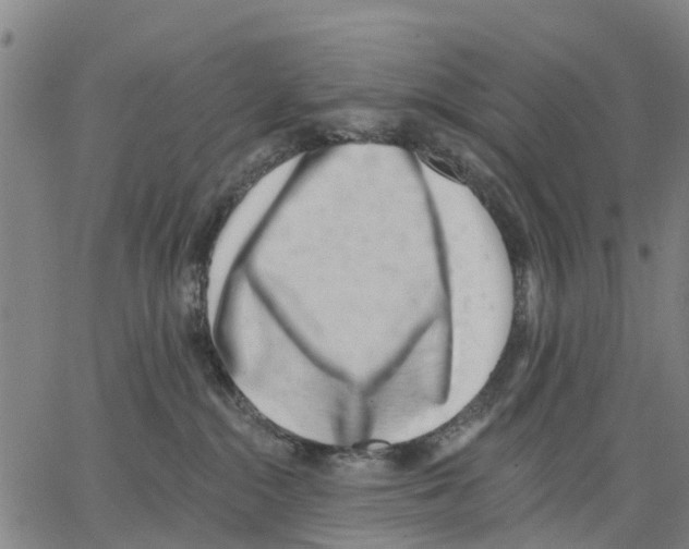 X0000062840284200602101544