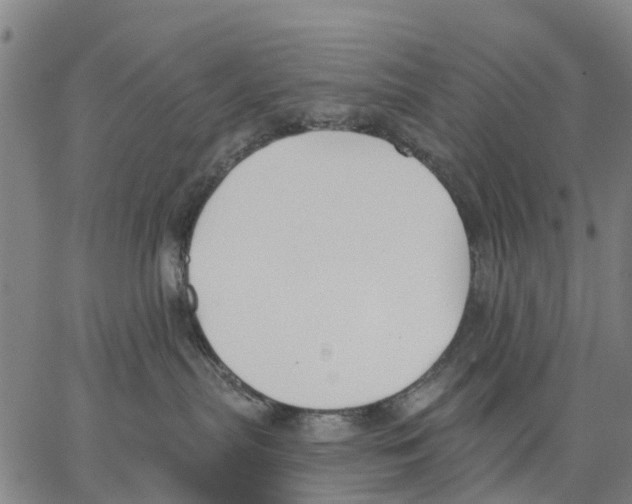 X0000062840287200602101544