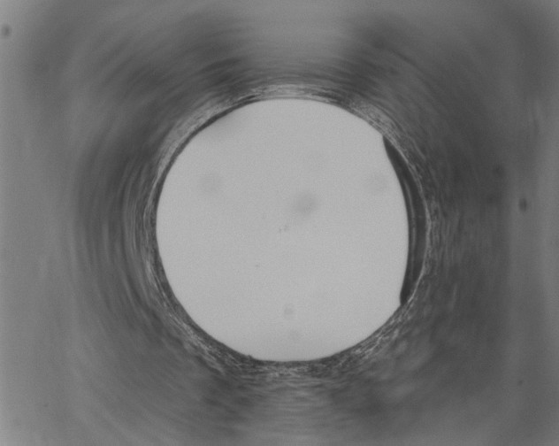 X0000062840289200602101543