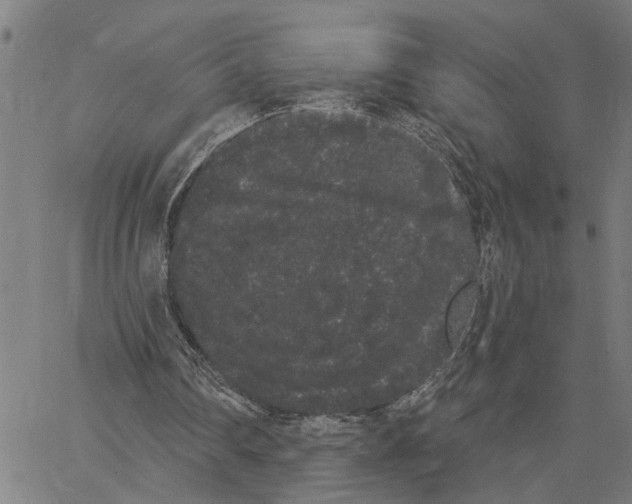 X0000062840290200602101543