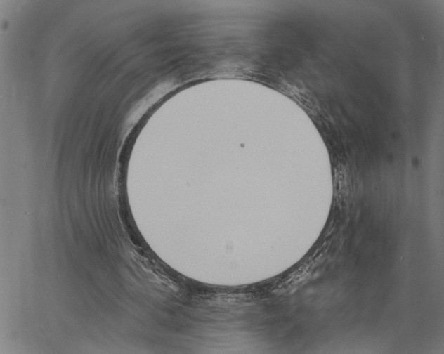 X0000062840292200602101543
