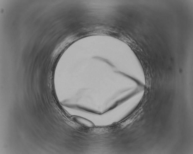 X0000062840341200602101542