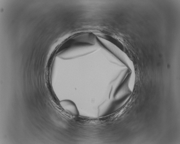 X0000062840342200602101542