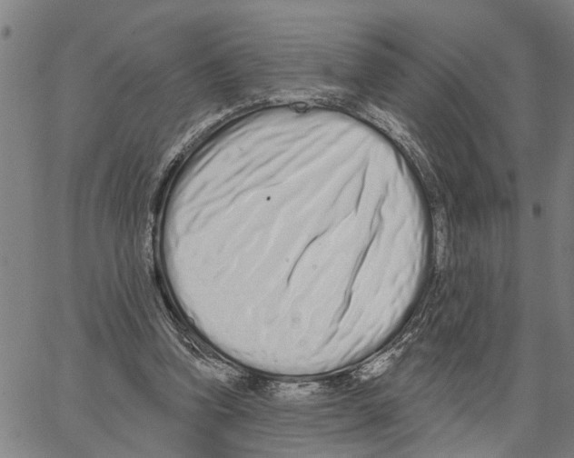 X0000062840346200602101542