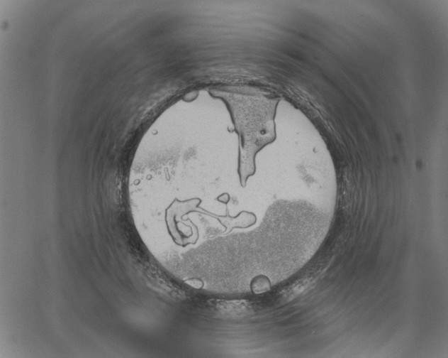 X0000062840355200602101542