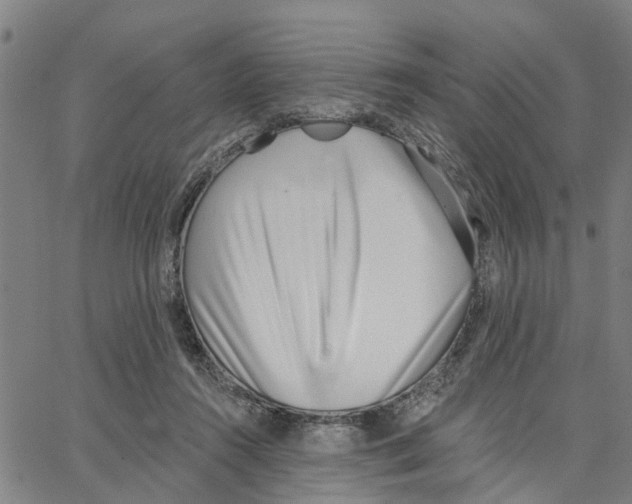 X0000062840360200602101542