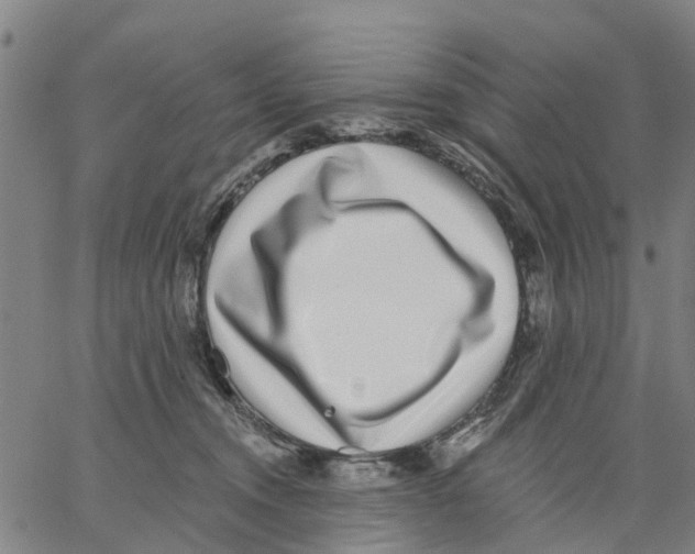 X0000062840372200602101542