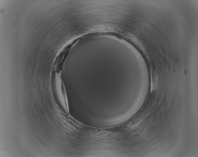X0000062840387200602101542