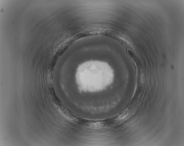 X0000062840411200602101541