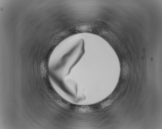 X0000062840420200602101541