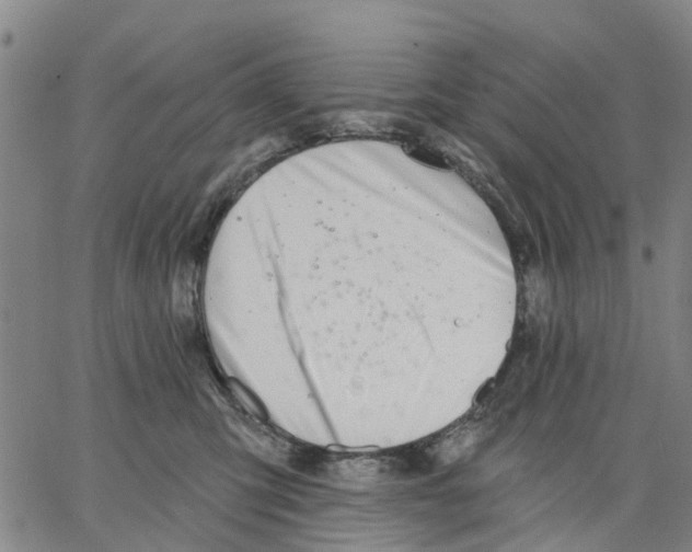 X0000062840423200602101541