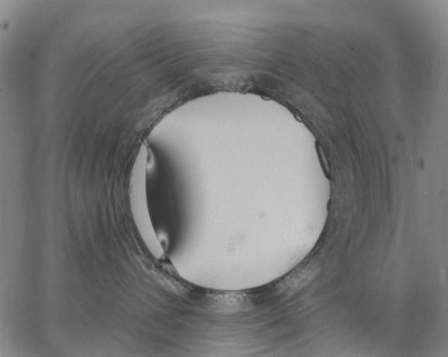 X0000062840432200602101541