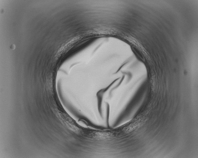 X0000062840442200602101541