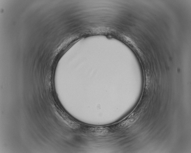 X0000062840443200602101541