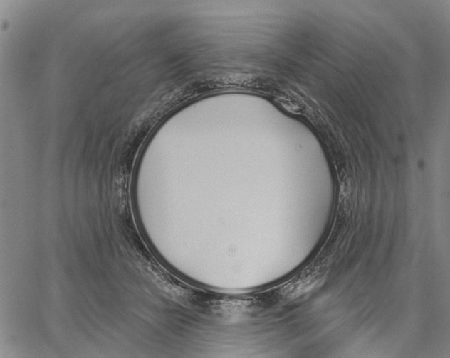 X0000062840462200602101541