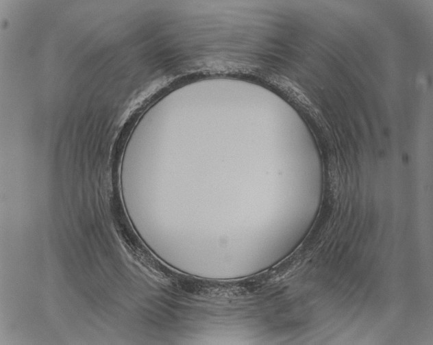 X0000062840488200602101540