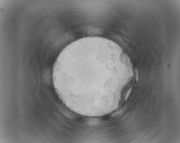 X0000062840519200602101540