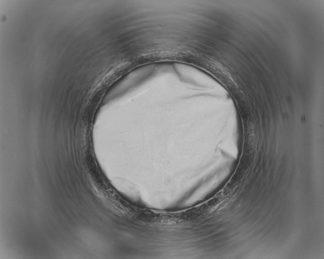 X0000062840542200602101539