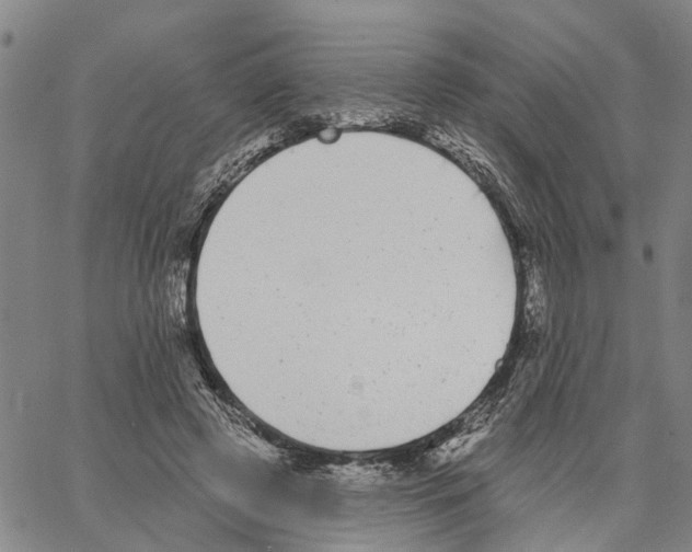 X0000062840545200602101539
