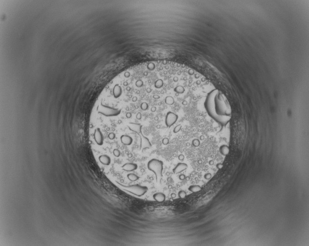 X0000062840553200602101539