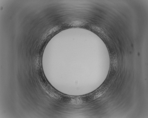 X0000062840591200602101539